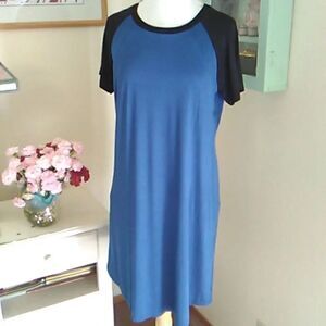 NWT Ekouaer Maternity Dress